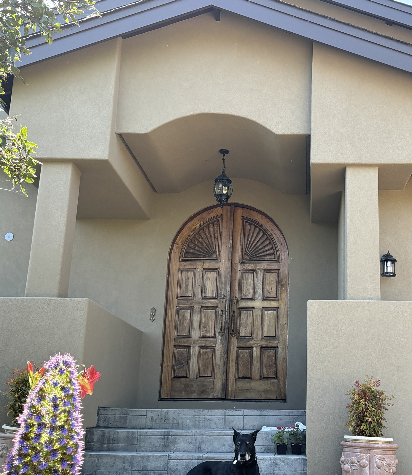 Exterior painting services in Santa Rosa, CA by Alex Crump Painting.